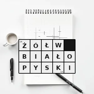 Hasło krzyżówkowe cryptochelys leucostoma gatunek gada z podrzędu żółwi skrytoszyjnych z rodziny mułowcowatych - żółw białopyski – rozwiązanie, synonimy, podpowiedzi i definicje krzyżówkowe